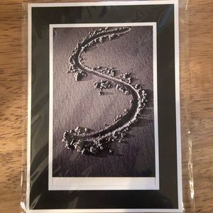 NWT Alphabet Letter Art Photography